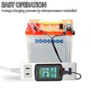 Float charging with Best AGM Battery Charger