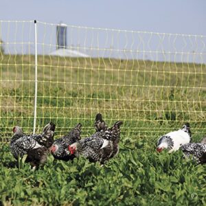 Premier 48 Inch Electric Chicken Net Fence