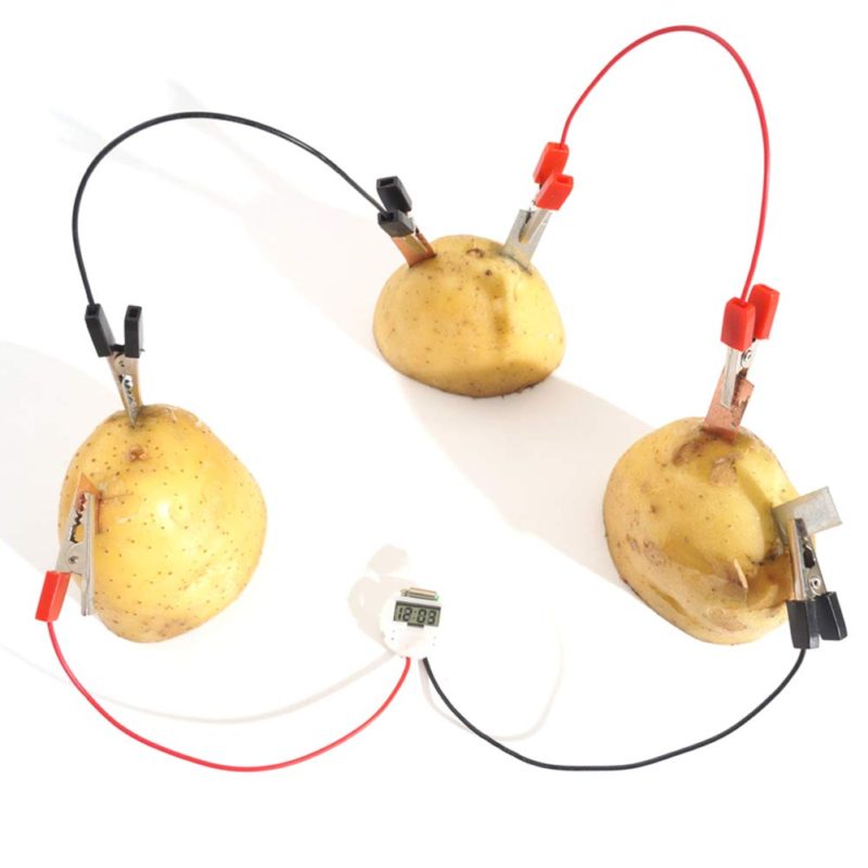 Fruit Battery Kit,DIY Potato Fruit Power Battery