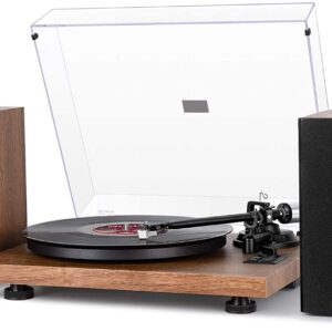 1byone Wireless Turntable HiFi System