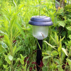 rechargeable light placed in garden